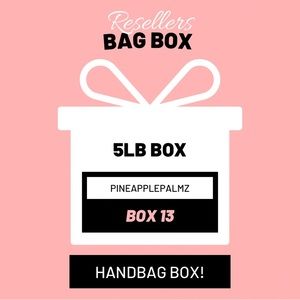 RESELLERS Bag Box Handbags Purses Wallet Random Brands & Sizes Up to 5lbs Box 13